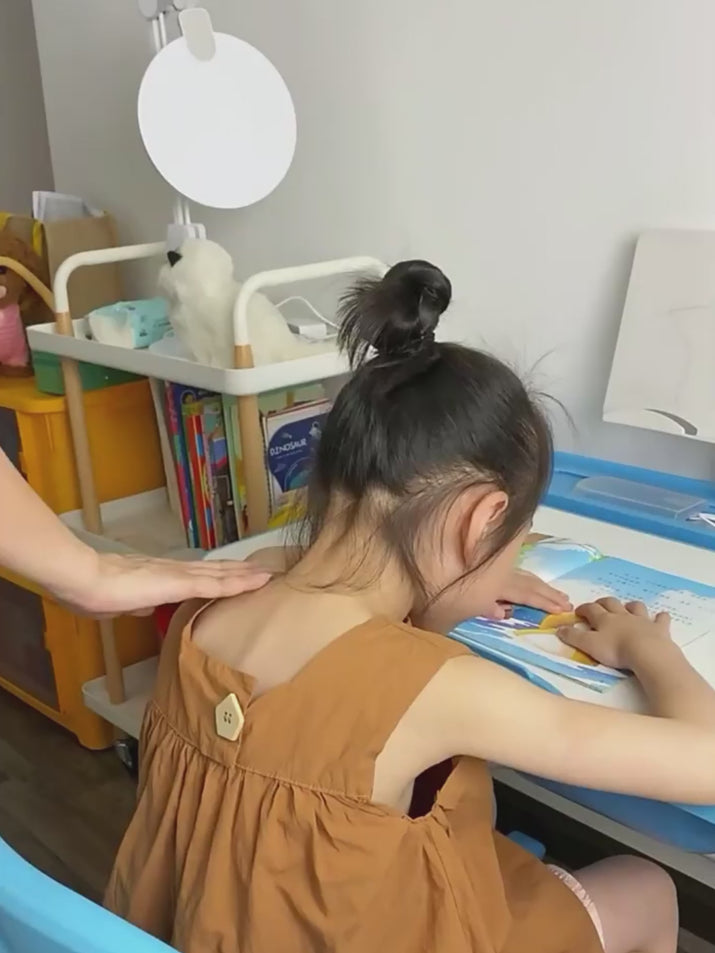 PRODUCT VID 1 